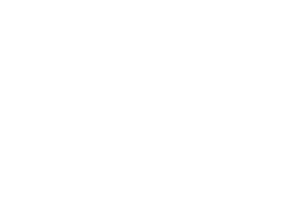 NOEA Logo